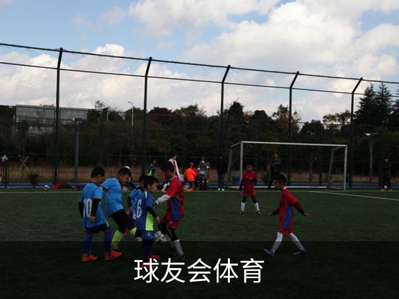球友会体育品牌故事